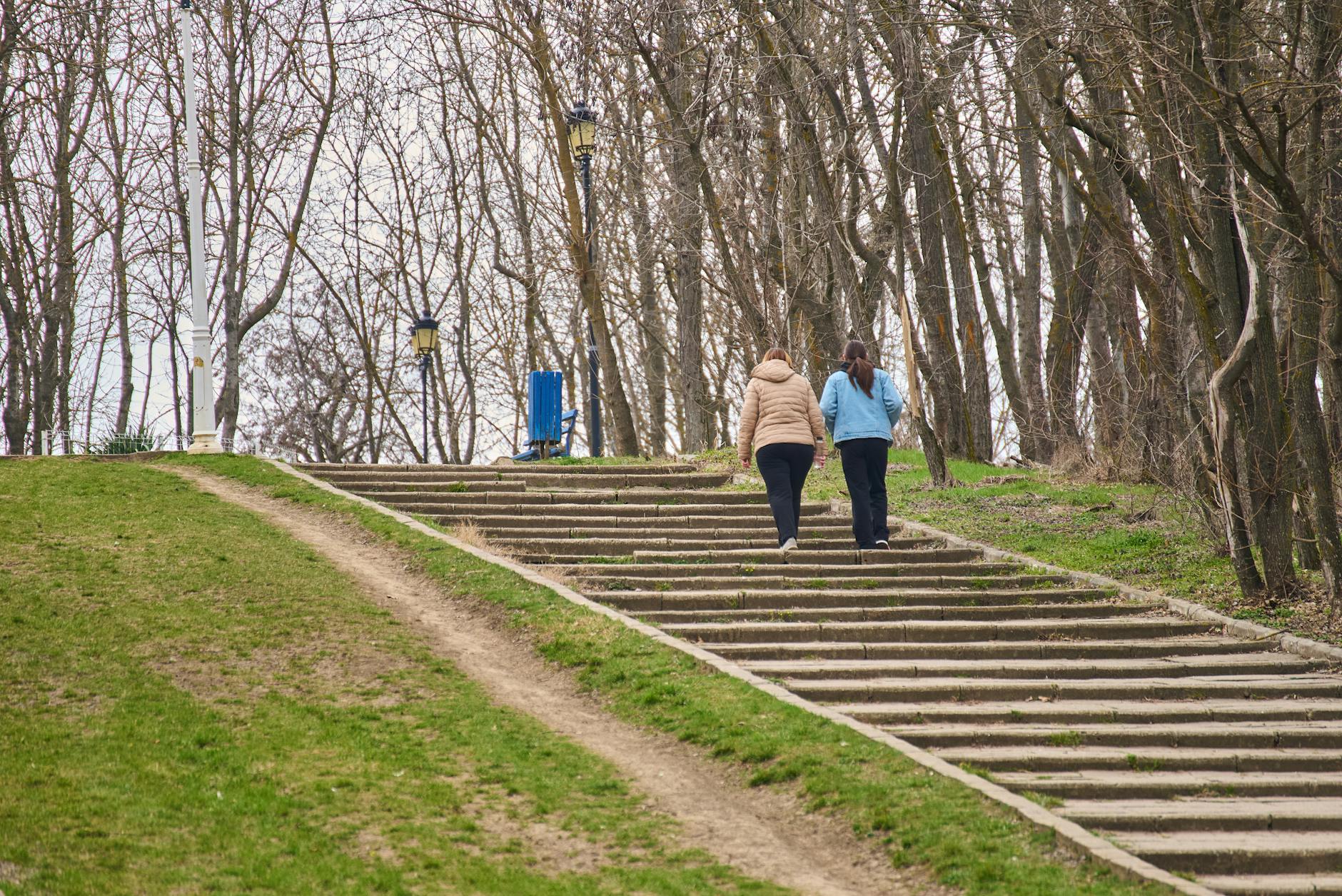 Two women enjoy a leisurely walk up a staircase in a tree-lined park path, capturing the essence ... (Photo by Daniel Cosma on Pexels)