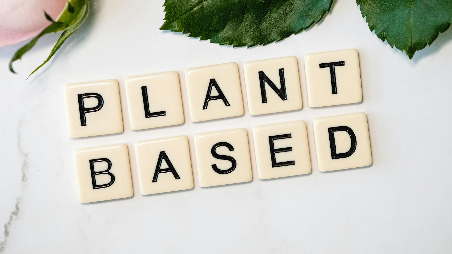 Scrabble tiles spelling 'Plant Based' surrounded by green leaves, promoting a vegan lifestyle. (Photo by Fuzzy Rescue on Pexels)